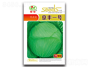 雜交京豐一號(hào)-甘藍(lán)種子-蜀信種業(yè)