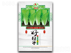 å¥½æ—¥å­-é’èœç¨®å­-èœ€ä¿¡ç¨®æ¥­(yÃ¨)