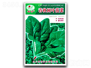 æ˜¥ç§‹åœ“è‘‰è èœ-è èœç¨®å­-èœ€ä¿¡ç¨®æ¥­(yÃ¨)