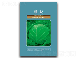 綠妃-甘藍(lán)種子-邢研種業(yè)