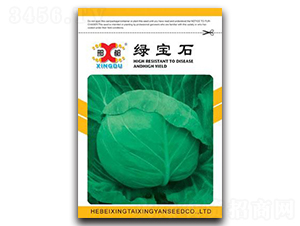 綠寶石-甘藍(lán)種子-邢研種業(yè)