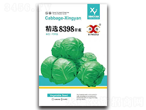 精選8398-甘藍(lán)種子-邢研種業(yè)