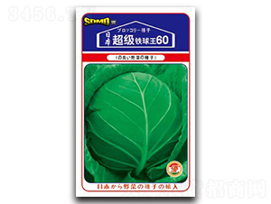 超級(jí)鐵球王60-甘藍(lán)種子-邢研種業(yè)
