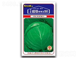 超級(jí)鐵球王50-甘藍(lán)種子-邢研種業(yè)
