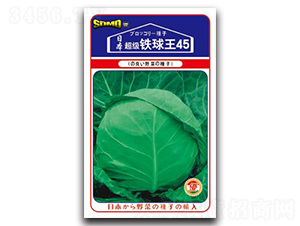 超級(jí)鐵球王45-甘藍(lán)種子-邢研種業(yè)