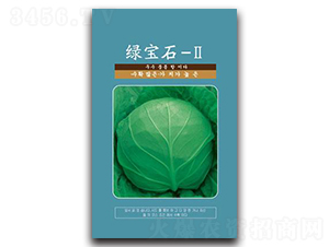 綠寶石-Ⅱ-甘藍(lán)種子-邢研種業(yè)
