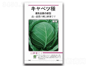 綠悅-甘藍(lán)種子-邢研種業(yè)