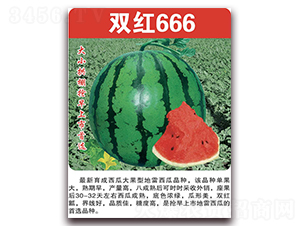 é›™ç´…666-è¥¿ç“œç¨®å­-ç¾Žå¥½ç¨®è‹—