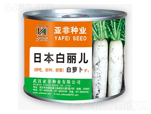 白麗兒-白蘿卜種子-亞非