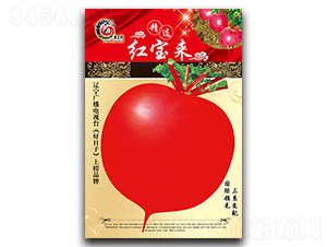 紅寶來-蘿卜種子-金翊雪龍