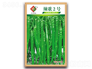 辣歌2號-辣椒種子-三江種業(yè)