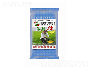 水稻育秧專用營養(yǎng)劑-旱秧壯-沃綠寶
