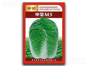 申榮M5（大紅版）-大白菜種子-申榮農業(yè)