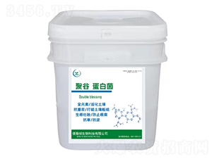 聚谷蛋白菌-便雅憫