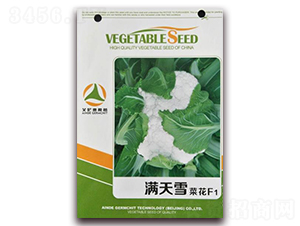 滿(mǎn)天雪菜花F1-菜花種子-艾尼德