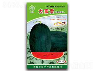 300粒大富貴大果黑美人-西瓜種子-富宇種苗