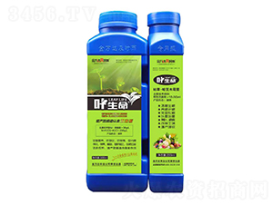 枯草·哈茨木霉菌-葉生命-金萬(wàn)達(dá)及時(shí)雨