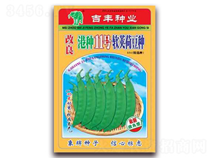 改良港種11號(hào)軟莢荷豆種-荷蘭豆種子-吉豐種業(yè)