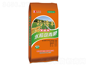 聚碳酶水稻返青肥-稻譜豐-康普德