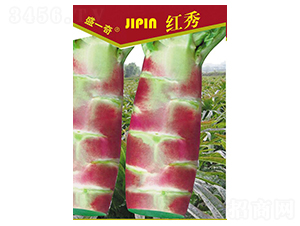 盛一奇紅秀2號萵苣-萵苣種子-盛琪種子