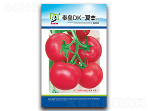 ç§¦çš‡DK-å¤æ°F1-ç•ªèŒ„ç¨®å­-ç§¦çš‡