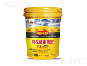 èŠèŠ±é…µç´ èŒæ¶²-è¦ªåœŸç”Ÿç‰©