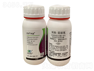 48%烯�！に宓�-菜鄉(xiāng)冉霜-菜鄉(xiāng)品牌