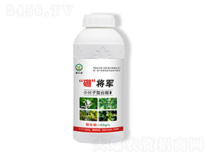 小分子螯合硼-康補森