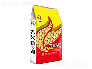 長義豆3號-大豆種子-坔育種業(yè)