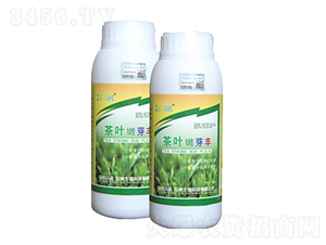 茶葉嫩芽豐-中谷農(nóng)康