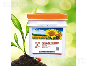 葵花專用硼肥-福樂(lè)邦