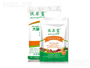 å¤§é‡å…ƒç´ æ°´æº¶è‚¥12-0-43+Mg-æ²ƒçˆ¾å¯Œ-è²¡å¯ŒåŒ–å·¥