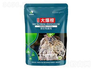 微生物菌劑-大爆根-盛禾