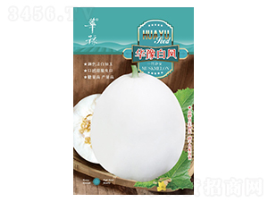 華豫白鳳-甜瓜種子-邢源農(nóng)業(yè)
