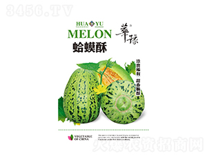 蛤蟆酥-甜瓜種子-邢源農(nóng)業(yè)
