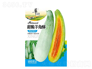 脆甜羊角酥-甜瓜種子-邢源農(nóng)業(yè)