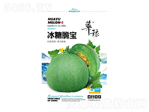 冰糖脆寶-甜瓜種子-邢源農(nóng)業(yè)