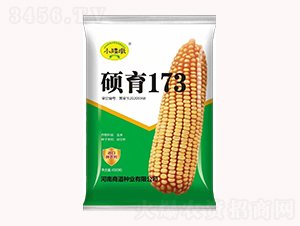 碩育173【4500?！?玉米種子-商道種業(yè)