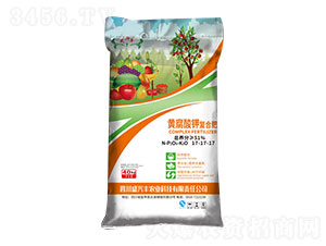 黃腐酸鉀復合肥17-17-17-盛豐磷化工