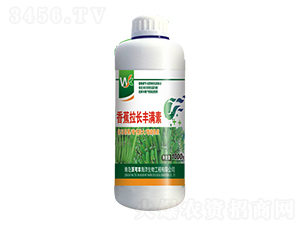 香蕉拉長(zhǎng)豐滿素-沃可豐