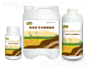 木本黃腐酸鉀-美寶收-滿穗生物