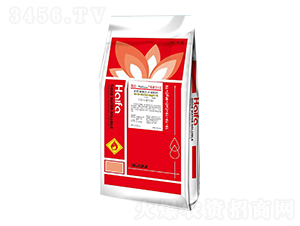 å¤šéˆ£éŽ‚å¾©(fÃ¹)åˆæ°´æº¶è‚¥19-19-19+CaO+MgO+TE-æµ·æ³•ä¾ç´¢è±1è™Ÿ(hÃ o)-é‚¦å…¸