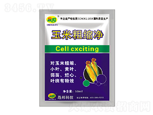 玉米粗縮凈50ml-晟邦生物