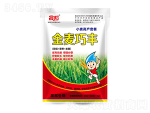 金麥巧豐小麥高產套餐-晟邦生物