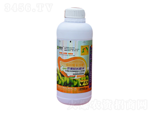 腐殖酸水溶肥-芒果拉長膨大-豐收源