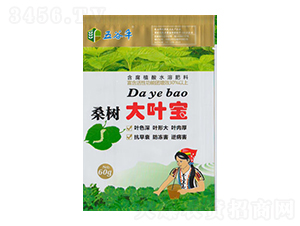 桑樹大葉寶-豐收源