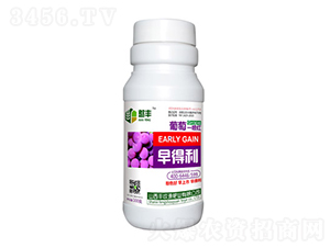 葡萄一噴紅-早得利-豐收源