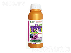 葡萄甜又紫-豐收源