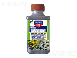 菊花專用型藥肥-好醫(yī)生-賽陽(yáng)生物