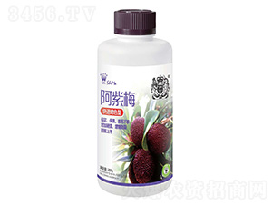 快速增色型-阿紫梅-獅馬肥業(yè)